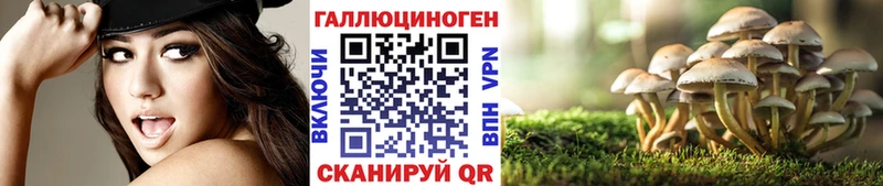 Псилоцибиновые грибы Psilocybe Железногорск-Илимский